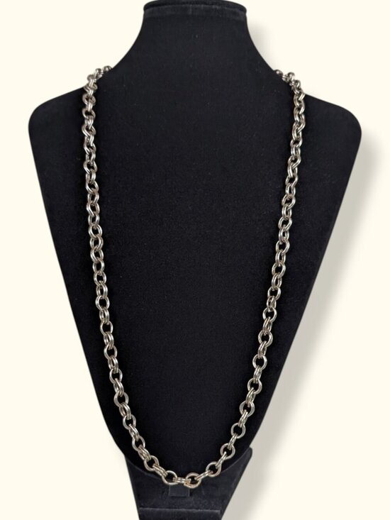 Jewelry - (2/$20) V. Doubled Tear Link Distressed Chain Necklace